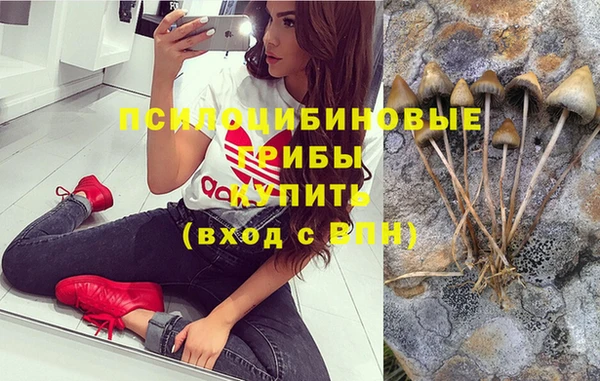 Альфа ПВП Балабаново