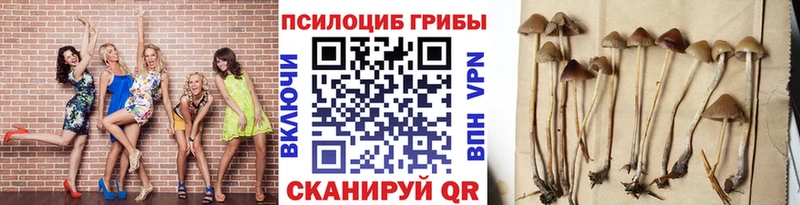 Галлюциногенные грибы GOLDEN TEACHER  как найти   Новая Ляля 